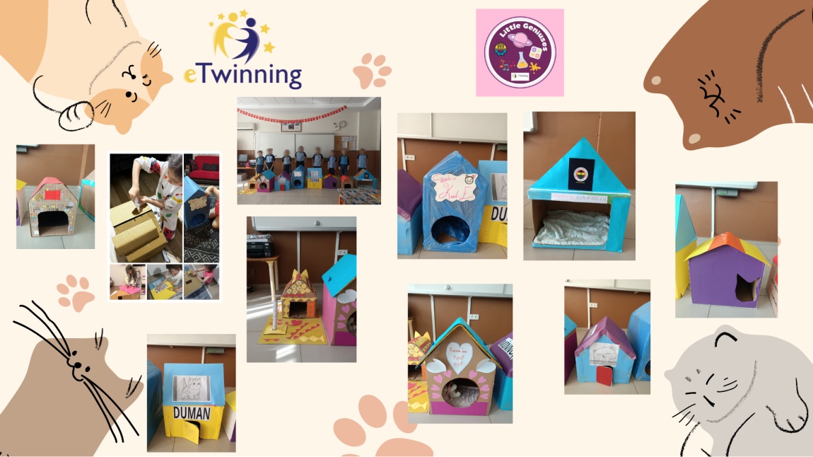Minik Dahiler-Little Geniuses eTwinning Projesi Kedi Evi Etkinliği